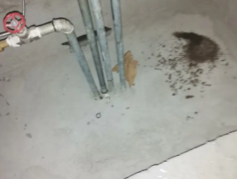 孟村卫生间测漏水价格明细